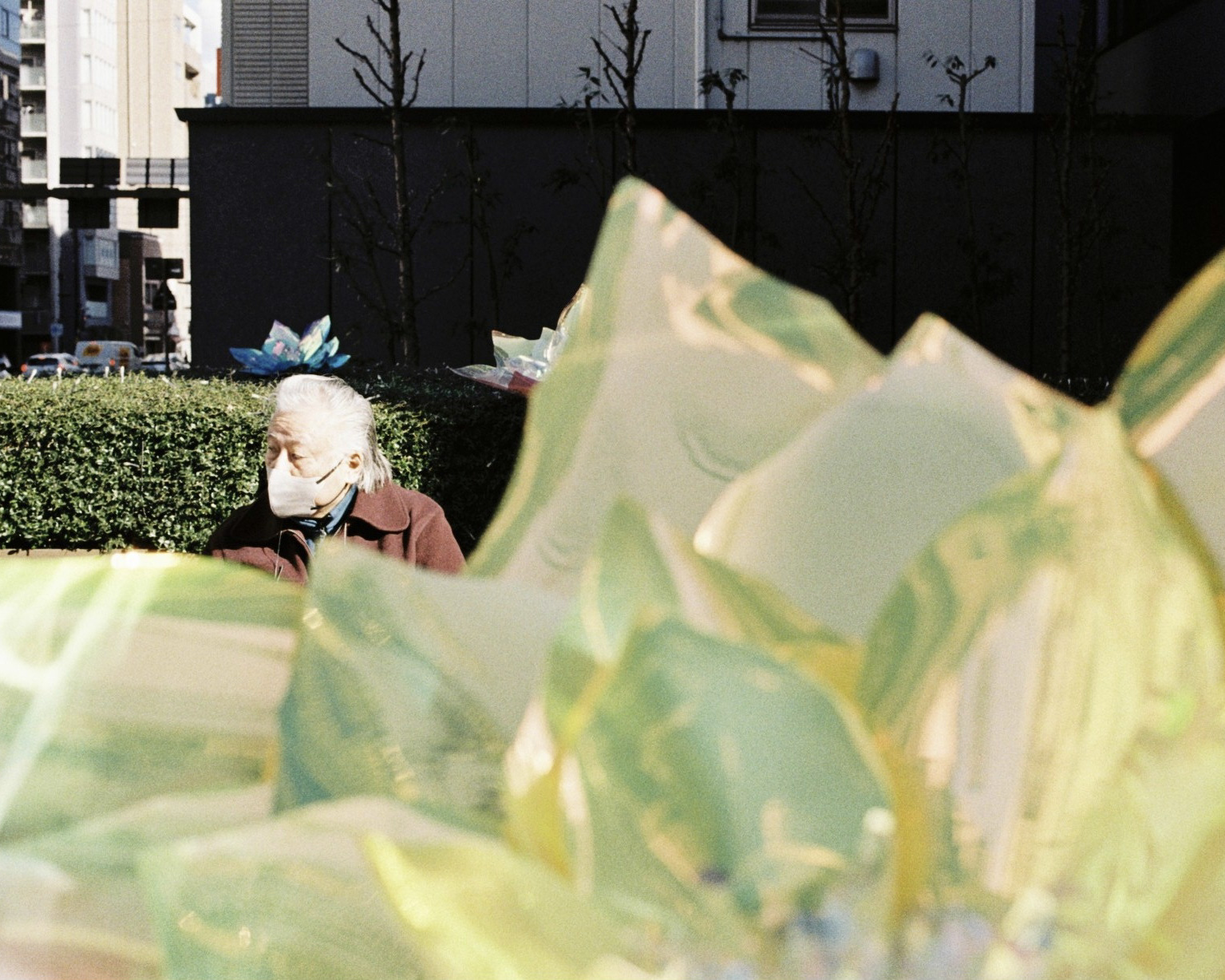 Light and shadow falling across an urban facade in Japan.